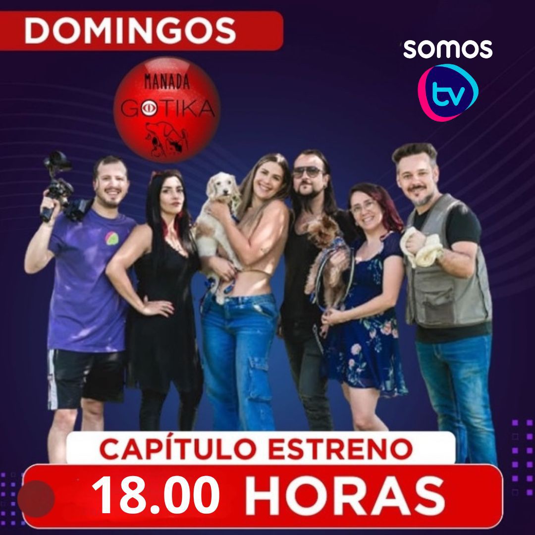 programa11